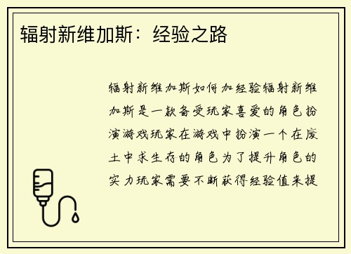 辐射新维加斯：经验之路